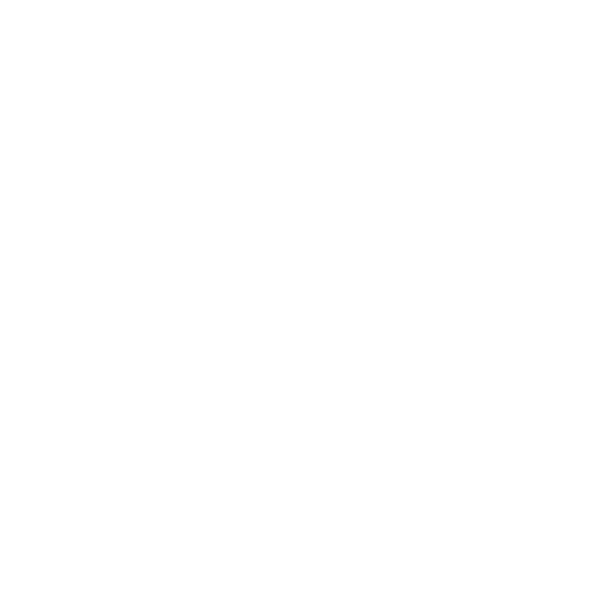 i2-icon